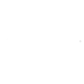 CyberSource.webp